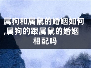 属狗和属鼠的婚姻如何,属狗的跟属鼠的婚姻相配吗