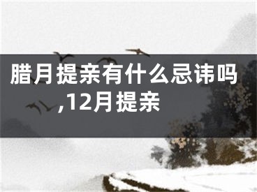 腊月提亲有什么忌讳吗,12月提亲
