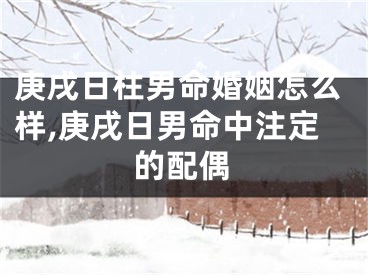庚戌日柱男命婚姻怎么样,庚戌日男命中注定的配偶