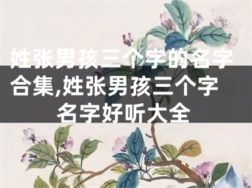 姓张男孩三个字的名字合集,姓张男孩三个字名字好听大全