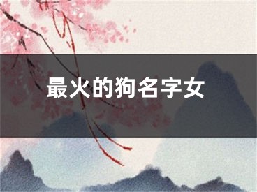 最火的狗名字女