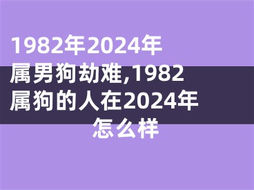 1982年2024年属男狗劫难,1982属狗的人在2024年怎么样