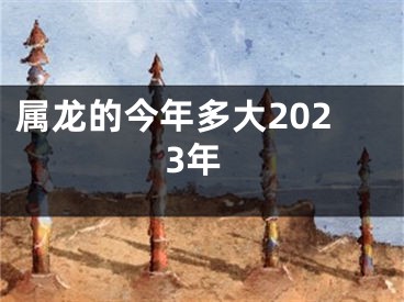 属龙的今年多大2023年