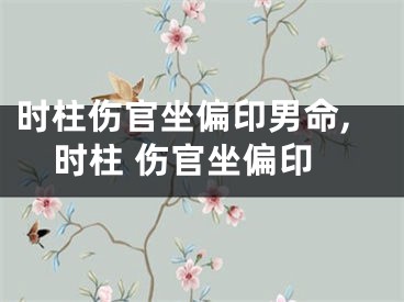 时柱伤官坐偏印男命,时柱 伤官坐偏印