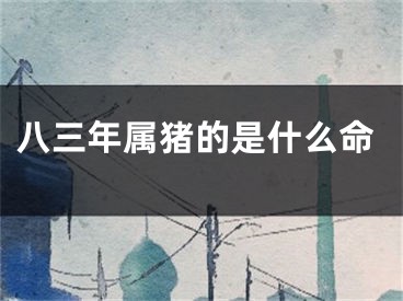 八三年属猪的是什么命