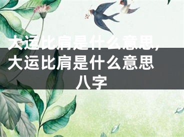 大运比肩是什么意思,大运比肩是什么意思 八字