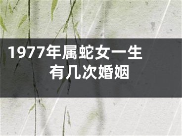 1977年属蛇女一生有几次婚姻