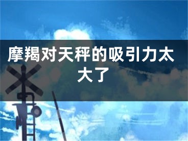 摩羯对天秤的吸引力太大了