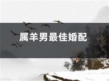 属羊男最佳婚配