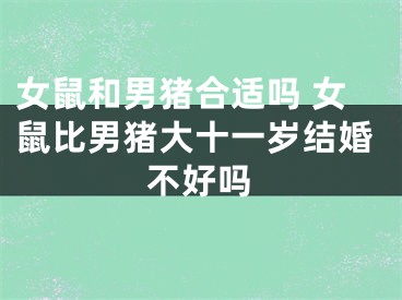 女鼠和男猪合适吗 女鼠比男猪大十一岁结婚不好吗