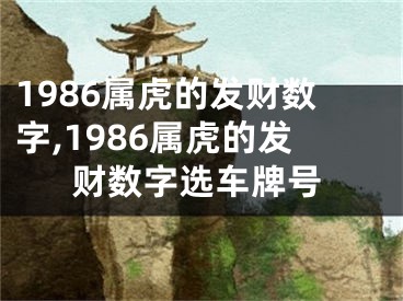 1986属虎的发财数字,1986属虎的发财数字选车牌号