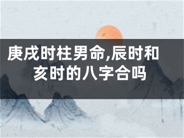 庚戌时柱男命,辰时和亥时的八字合吗