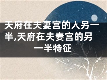 天府在夫妻宫的人另一半,天府在夫妻宫的另一半特征