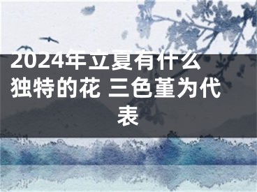2024年立夏有什么独特的花 三色堇为代表