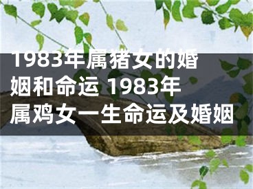 1983年属猪女的婚姻和命运 1983年属鸡女一生命运及婚姻