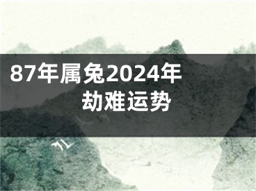87年属兔2024年劫难运势