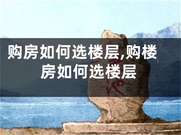 购房如何选楼层,购楼房如何选楼层