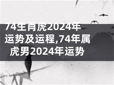 74生肖虎2024年运势及运程,74年属虎男2024年运势