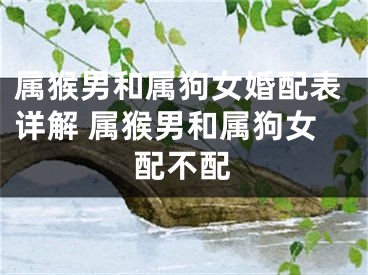属猴男和属狗女婚配表详解 属猴男和属狗女配不配