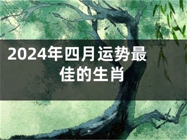 2024年四月运势最佳的生肖