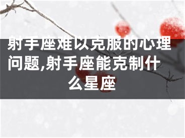 射手座难以克服的心理问题,射手座能克制什么星座