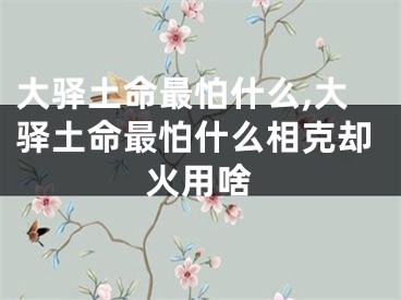 大驿土命最怕什么,大驿土命最怕什么相克却火用啥