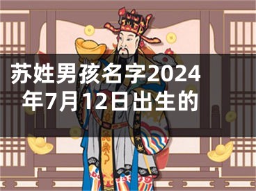 苏姓男孩名字2024年7月12日出生的