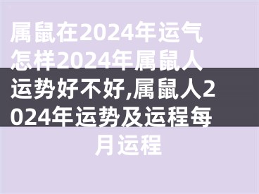属鼠在2024年运气怎样2024年属鼠人运势好不好,属鼠人2024年运势及运程每月运程