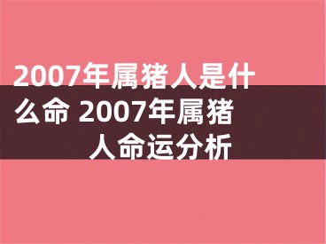 2007年属猪人是什么命 2007年属猪人命运分析