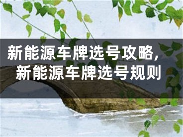 新能源车牌选号攻略,新能源车牌选号规则
