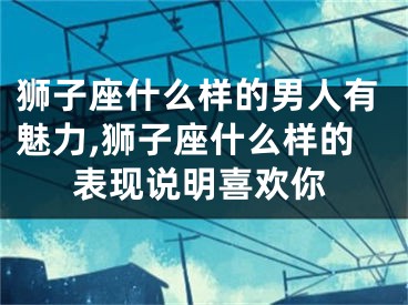 狮子座什么样的男人有魅力,狮子座什么样的表现说明喜欢你