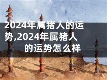 2024年属猪人的运势,2024年属猪人的运势怎么样