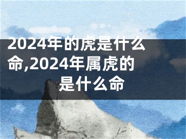 2024年的虎是什么命,2024年属虎的是什么命