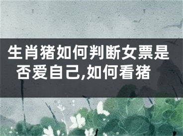 生肖猪如何判断女票是否爱自己,如何看猪