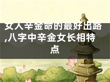 女人辛金命的最好出路,八字中辛金女长相特点