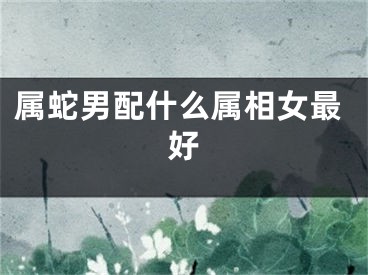 属蛇男配什么属相女最好