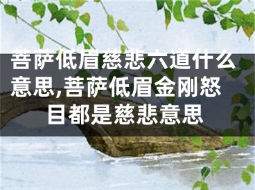 菩萨低眉慈悲六道什么意思,菩萨低眉金刚怒目都是慈悲意思