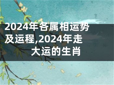 2024年各属相运势及运程,2024年走大运的生肖
