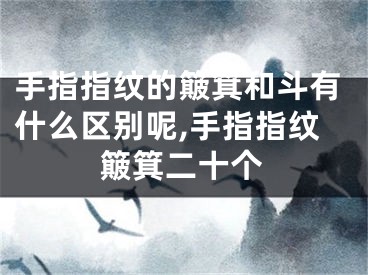 手指指纹的簸箕和斗有什么区别呢,手指指纹簸箕二十个