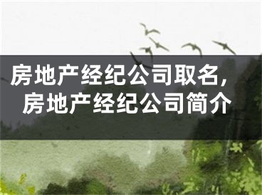 房地产经纪公司取名,房地产经纪公司简介