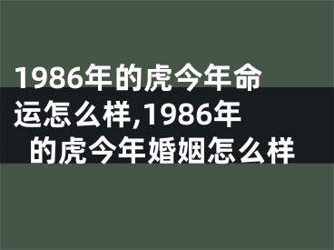 1986年的虎今年命运怎么样,1986年的虎今年婚姻怎么样