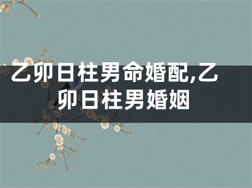 乙卯日柱男命婚配,乙卯日柱男婚姻