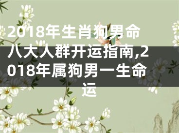 2018年生肖狗男命八大人群开运指南,2018年属狗男一生命运