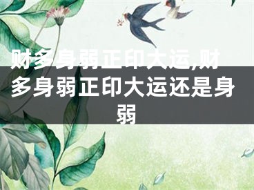 财多身弱正印大运,财多身弱正印大运还是身弱