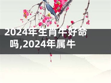 2024年生肖牛好命吗,2024年属牛