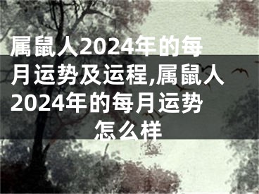 属鼠人2024年的每月运势及运程,属鼠人2024年的每月运势怎么样