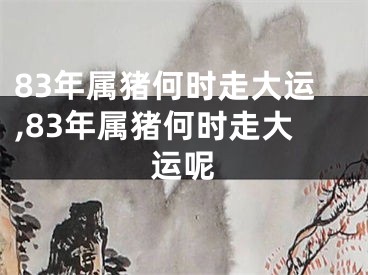 83年属猪何时走大运,83年属猪何时走大运呢