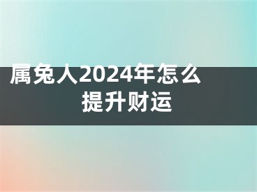 属兔人2024年怎么提升财运