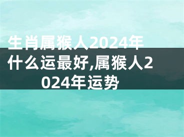 生肖属猴人2024年什么运最好,属猴人2024年运势