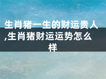 生肖猪一生的财运贵人,生肖猪财运运势怎么样